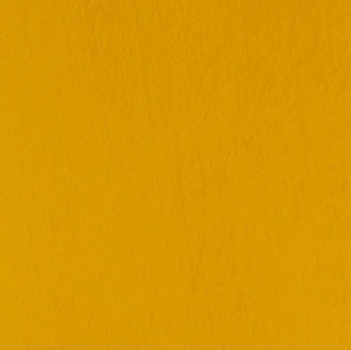 FabricLA Acrylic Felt Fabric - Precut for Art, Craft, DIY Projects - Single Pack
