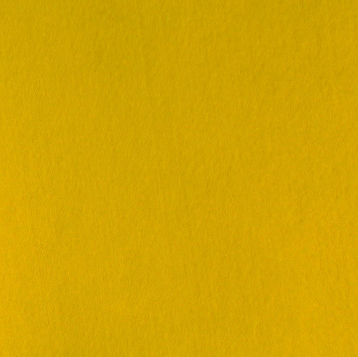 FabricLA Acrylic Felt Fabric - Precut for Art, Craft, DIY Projects - Single Pack