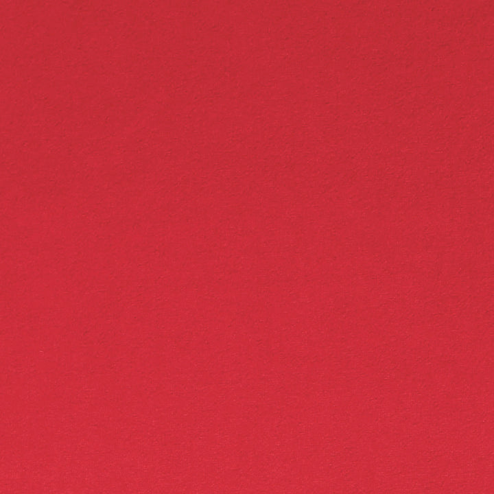 FabricLA DTY Double Brushed Polyester Spandex Knit Fabric | Red - FabricLA.com