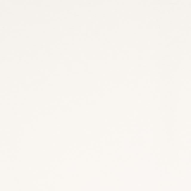 FabricLA DTY Double Brushed Polyester Spandex Knit Fabric | Ivory