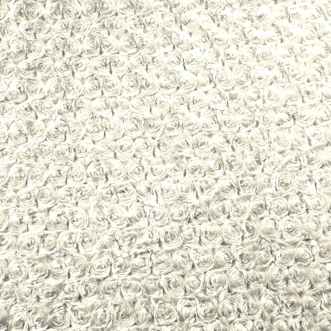 Ivory Rose Cuddle minky swatch