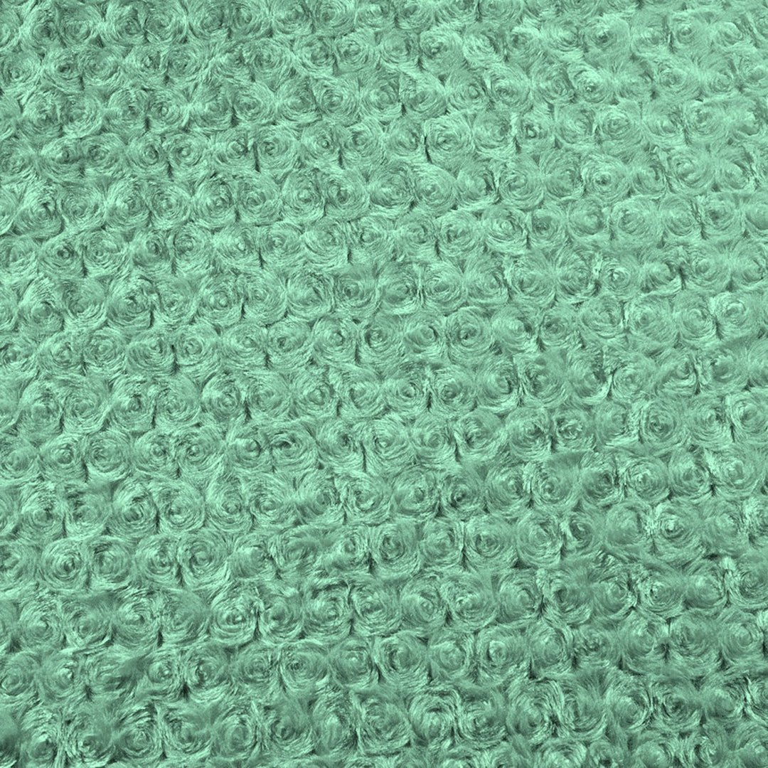 Mint Rose Cuddle minky swatch